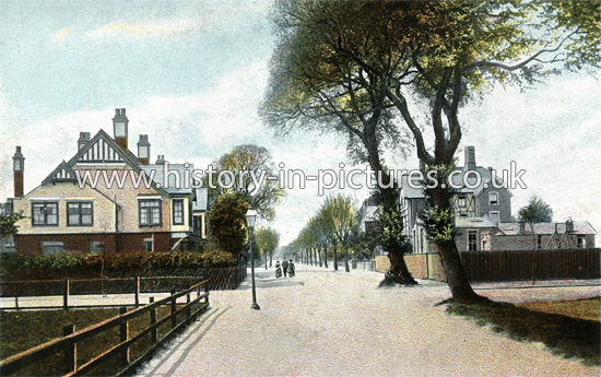 Holland Road, Clacton on Sea. Essex. c.1915